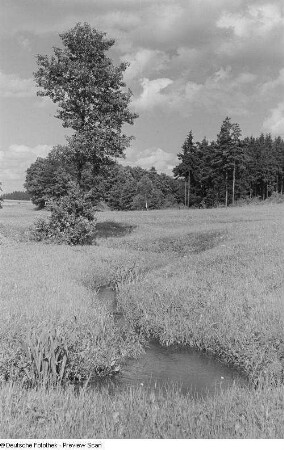 Landschaft
