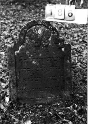 Grabstein 186 (Index: 99752045) Material: Sandstein Zustand: leicht verwittert, Stele eingesunken Maße HxBxT: 76x55x8 cm Beschreibung: Stele, doppelt eingezogener Rundbogenabschluß, Schriftfeld eingetieft Symbolik: Lilie: Grabstein 186