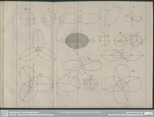 [Taf. IV], Fig. 1-16