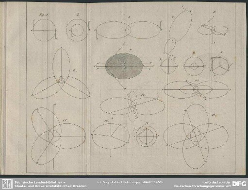[Taf. IV], Fig. 1-16