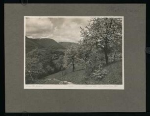 210, Schwäbische Alb. Im Lenninger Tal. (Nr. 3662).