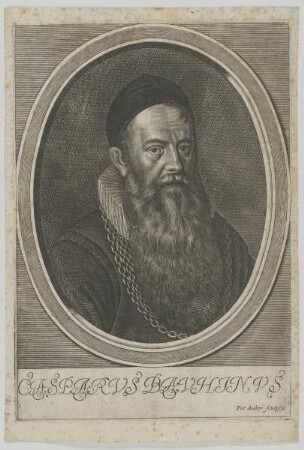 Bildnis des Casparus Bauhinus