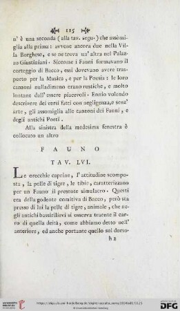 Fauno Tav. LVI