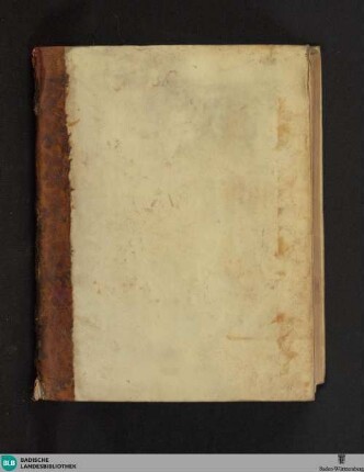 Tractatus. De plantis officinarum - Cod. Rastatt 66