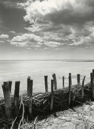 Küstenlandschaft der franz. Camargue
