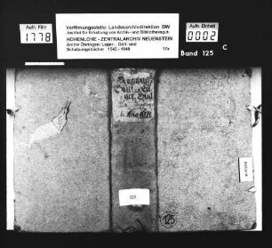 Lager- und Gültbuch über Hollenbach (Konzept).