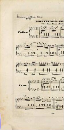 Hoffnungs-Polka : für d. Pianoforte