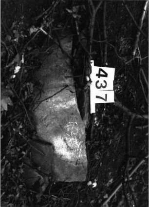 Grabstein 437 (Index: 99898056) Beschreibung: Fragment: Grabstein 437