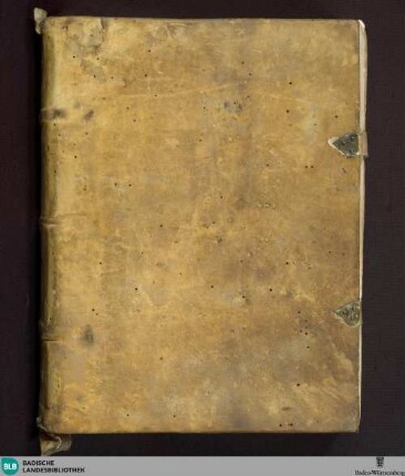 Gregorii M. in Ezechielem homiliae - Cod. Aug. perg. 71