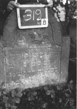 Grabstein 319 (Index: 99895686) Material: Sandstein Zustand: verwittert und bewachsen Maße HxBxT: 83x70x9 cm Beschreibung: Stele mit eingezogenem Rundbogenabschluss Symbolik: Blüte: Grabstein 319B