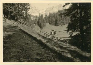 Am Wilden Kaiser