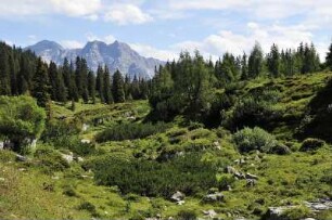 Waidring - Alpenlandschaft : Berggipfel der Tiroler Alpen bei Waidring, aufgenommen 2008