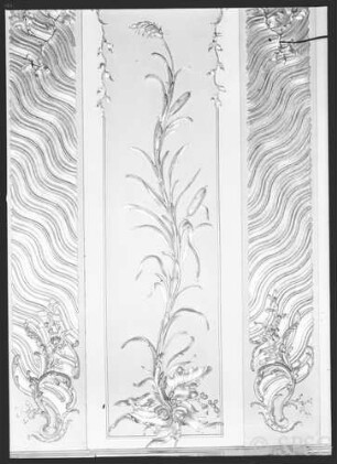 Potsdam, Stadtschloss, Konzertzimmer Friedrich II., R. : 10, Detail eines Wandornaments.