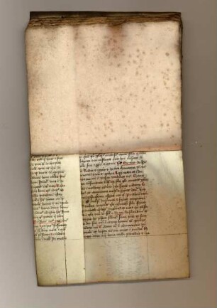 Albertus, Magnus