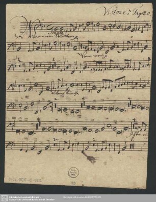 Violone o Fagotto.