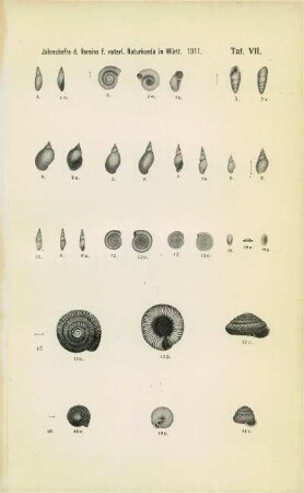 Tafel VII