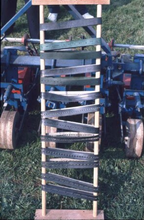 Fotografie: Studienreise, Gartenbau