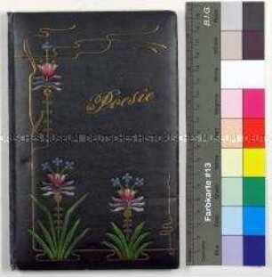Poesiealbum von Ernst Reinhold Emil Spindler