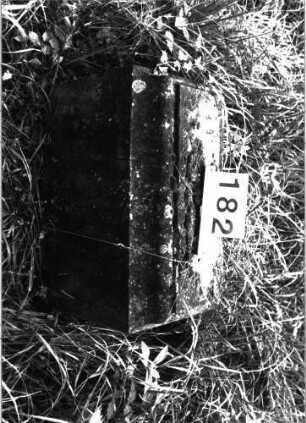 Grabstein 182 (Index: 99897879) Zustand: liegend, Fragment: Grabstein 182