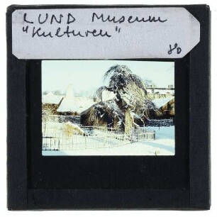 Lund, Museum Kulturen