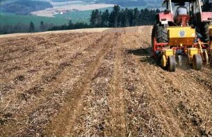 Fotografie: Mulchsaat, Mais, Einzelkornsämaschine