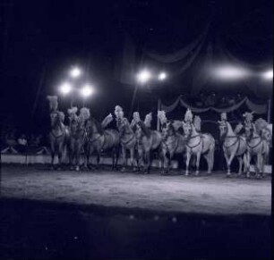 Petoletti-Dresseur - Circus Williams, ohne Ortsangabe, 1959