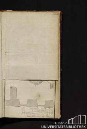 Tab. VIII. Fig. 76 und Fig. 77.