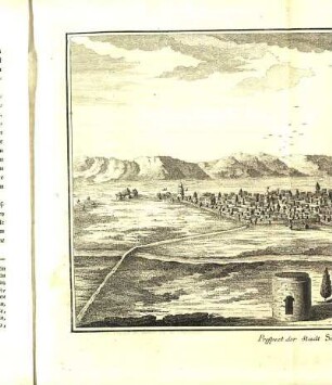 Tab. XXXVI. Prospect der Stadt Schirâs