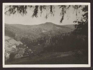 Blick über das Berlebecker Tal und die gegenüberliegende Ruine Falkenburg. Detmold. Berlebeck