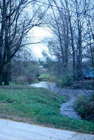 mäandrierender Bachlauf mit natubelassenem Ufer