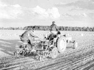 Rübenpflege mit Maschinenhacke an einem Traktor der LPG Krien