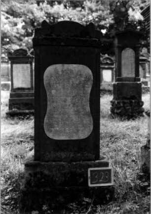 Grabstein 323 [Nir S. 200 Nr. 18.09]