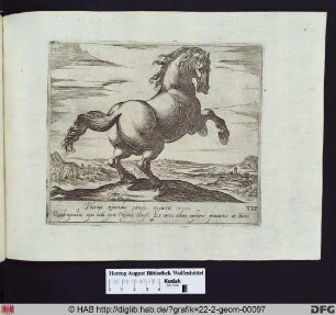 Ein aufbäumendes Pferd, nach rechts gerichtet.
