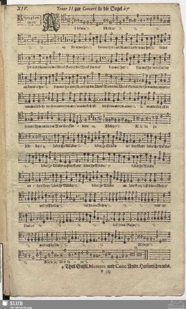 XIV. Alleluia kommet her