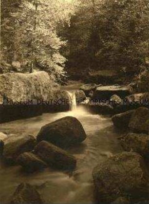 Im Monbachtal