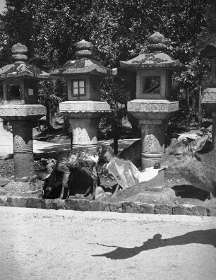 Nara. Steinlaternen im Nara-Park