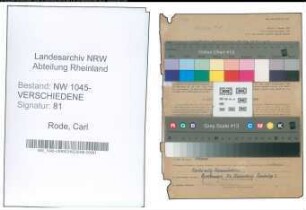 Entnazifizierung Carl Rode , geb. 24.02.1895 (Angestellter)