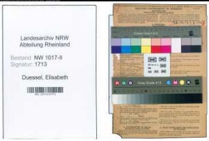Entnazifizierung Elisabeth Duessel , geb. 06.03.1909 (Lohnbuchhalterin)