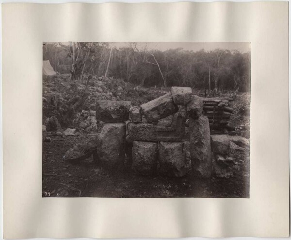 "Various stones of the palace. Rear view."