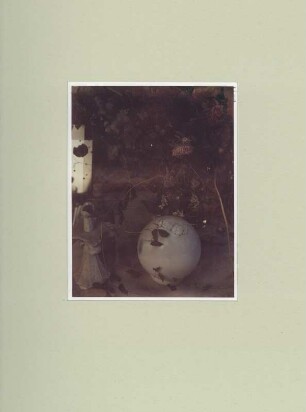 Polaroid #16