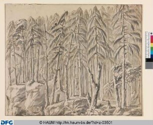 Burgwald. Sechs Rechtskulissen