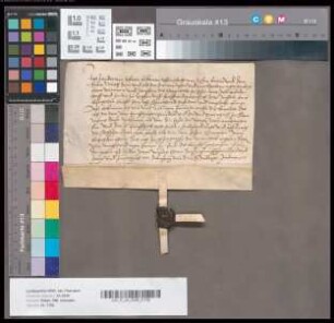 [Zander von Efferen; betr. Pachtung des Fronhofs zu Paffendorf nebst der Mühle und den Zehnten daselbst und zu Glesch, Destorf usw.]