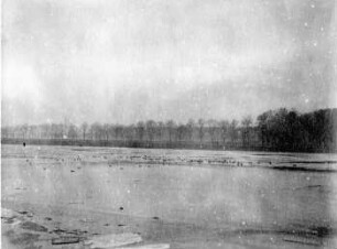 Leipzig: Elsterbecken : Krähen und Enten auf d. Eis