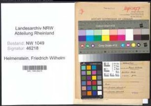 Entnazifizierung Friedrich Wilhelm Helmenstein , geb. 03.02.1903 (Projektingenieur)