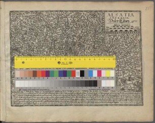 Alsatia Inferior : = Under-Elsas