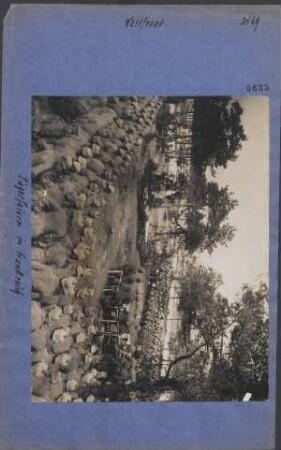 Siegesfeier in Frankreich