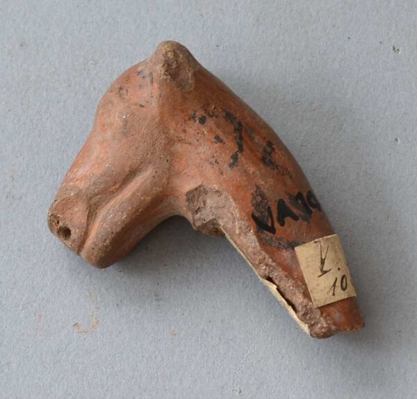 Animal head made of clay