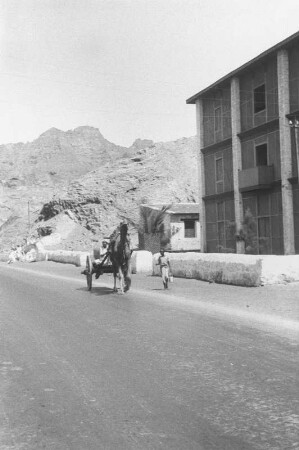 Aden : Blick auf eine Straße in Aden. Mann mit Pferdewagen.