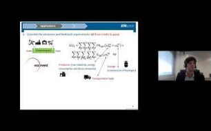 The coupling of optimization techniques and LCA