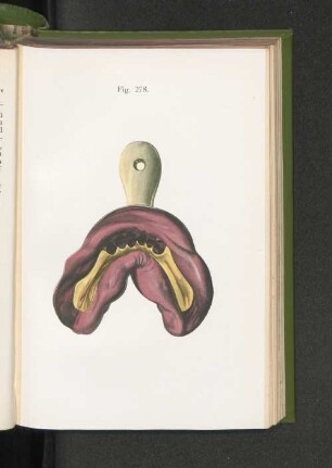Fig. 278.